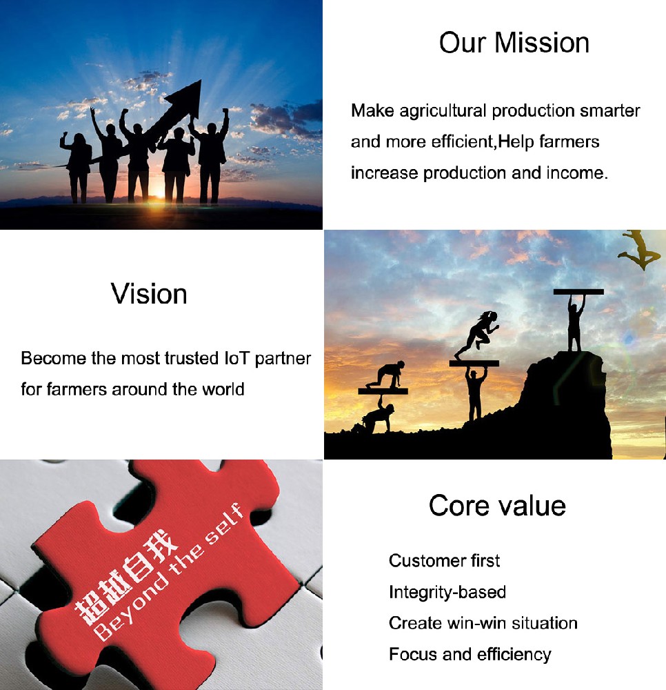 Mission Vision Values.jpg