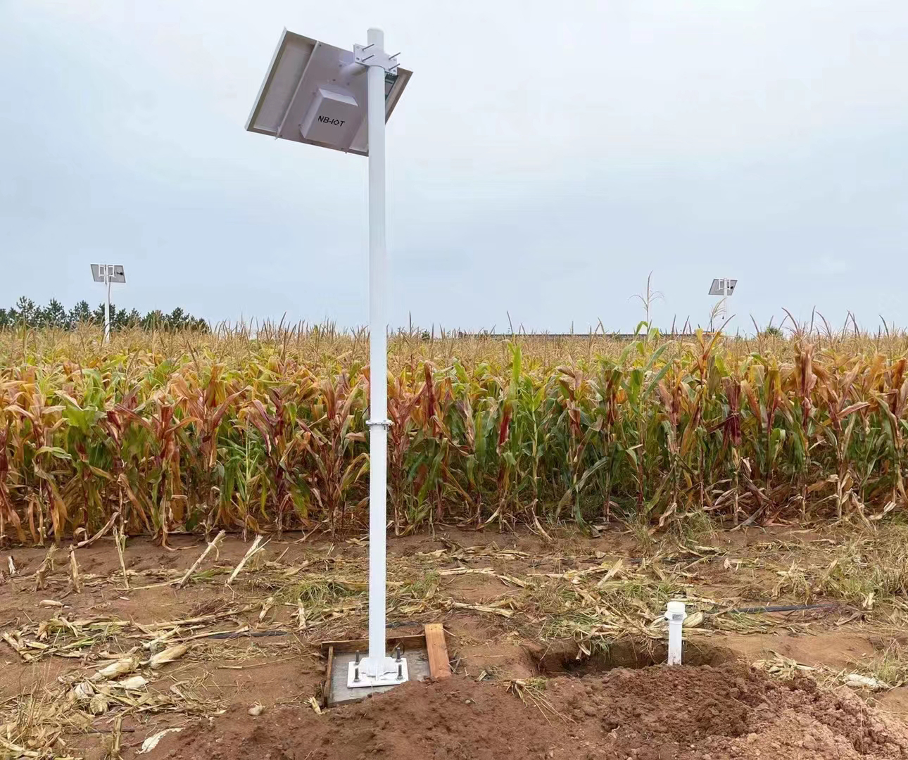soil temperature and humidity monitoring system for corn fields.jpg