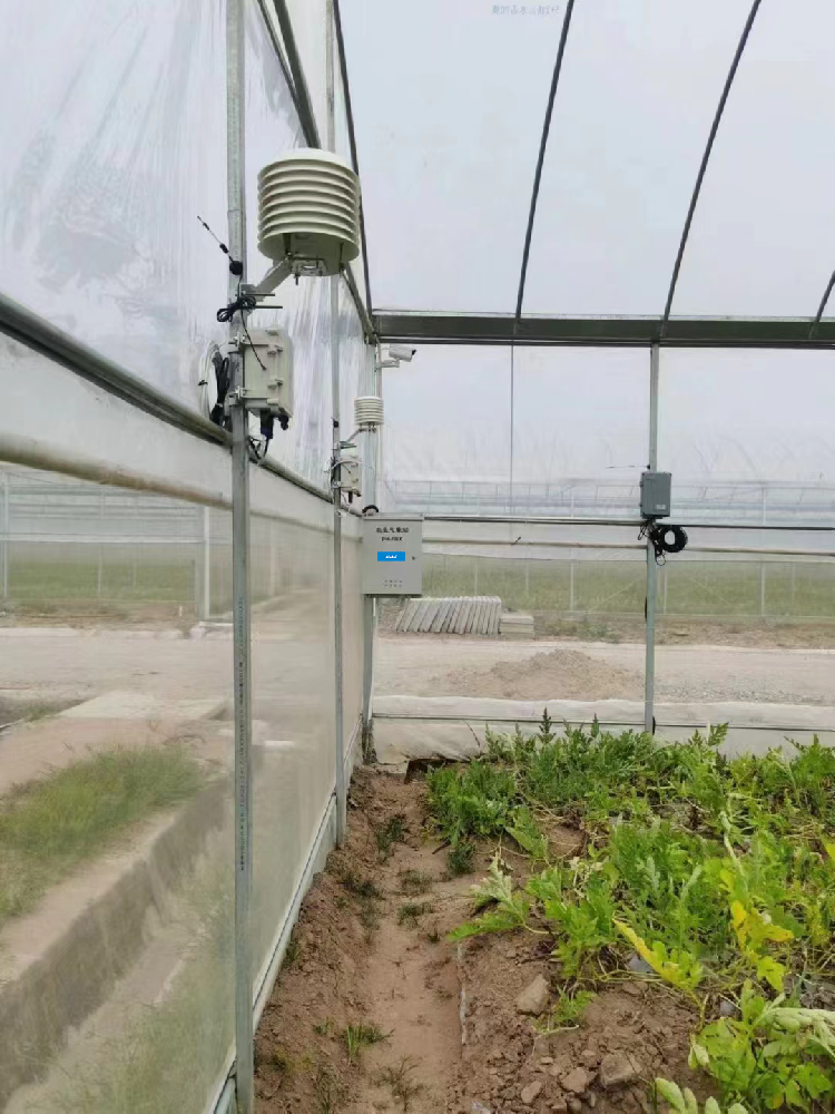 Installation of air temperature, humidity pressure sensor and control system for greenhouses