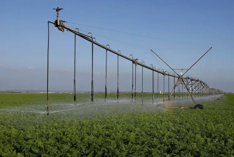 Agricultural water-saving irrigation technology.jpg