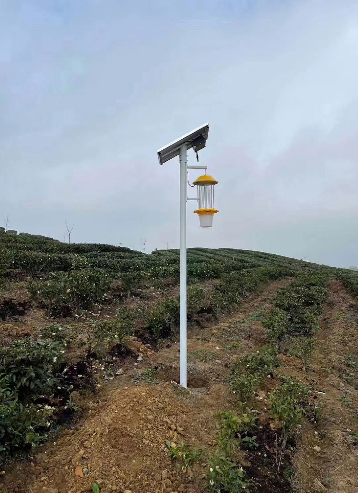 IoT insect monitoring light: is a new generation of pest automatic reporting system