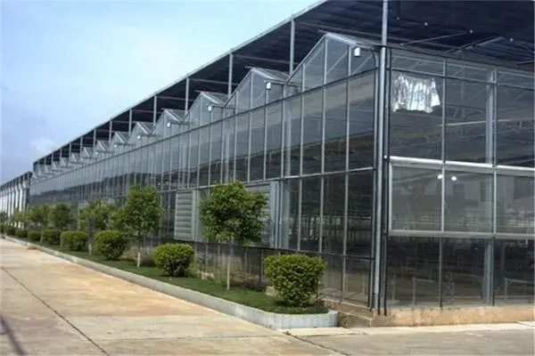Intelligent greenhouse (1).jpg