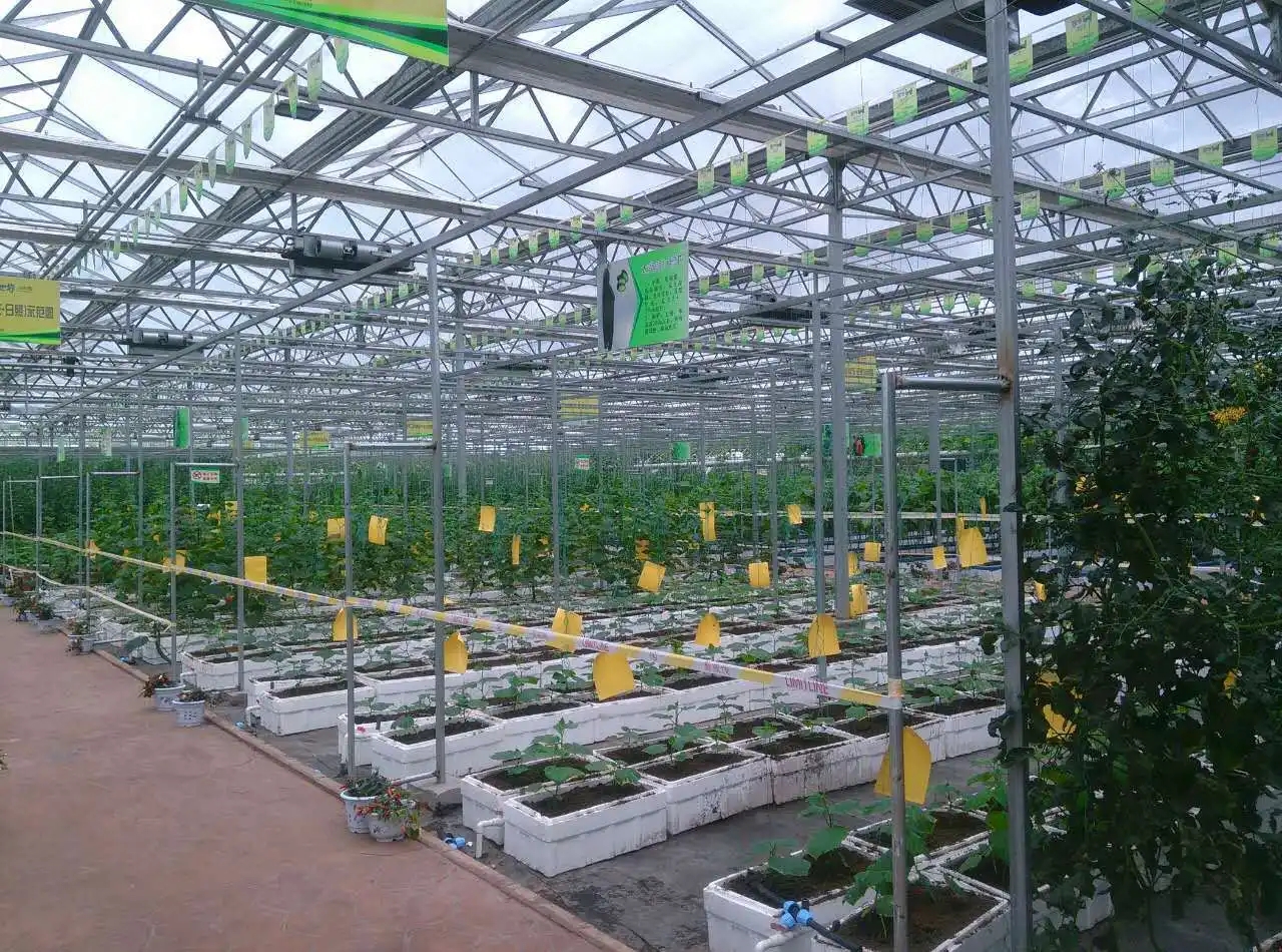Intelligent greenhouse.jpg