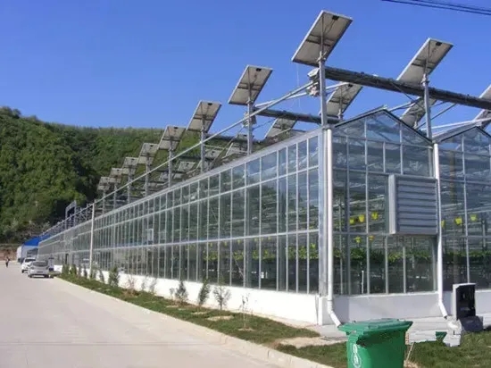 Intelligent greenhouse (3).jpg