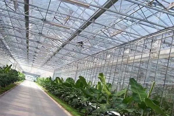 Intelligent greenhouse (2).jpg