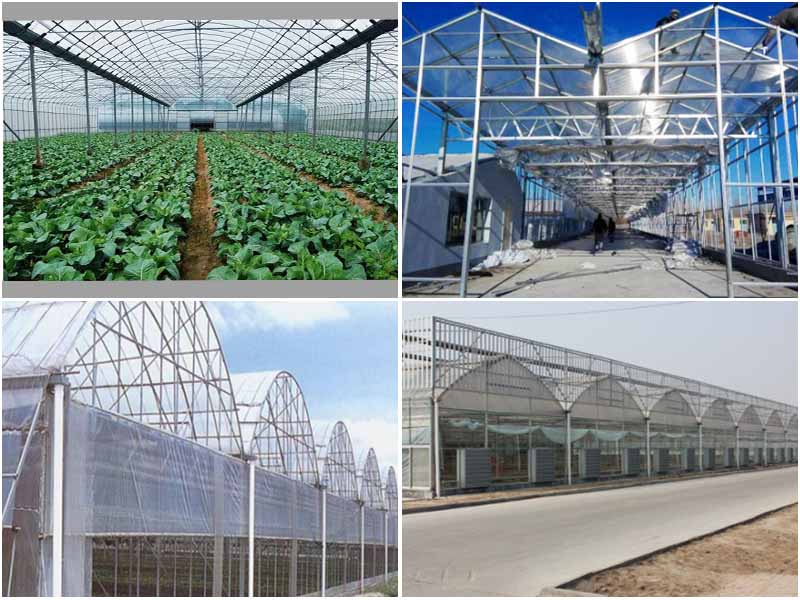 modern greenhouse.jpg