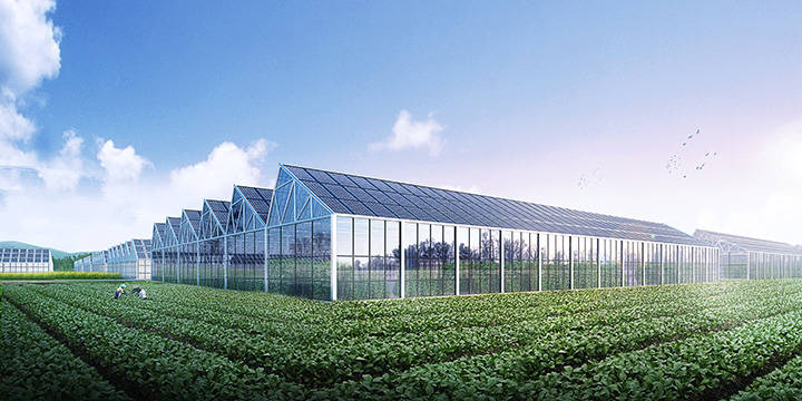 modern greenhouse.jpeg