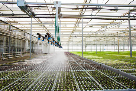 Modern greenhouse irrigation (1).jpeg
