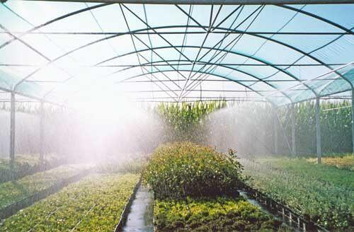 Modern greenhouse irrigation (1).jpg