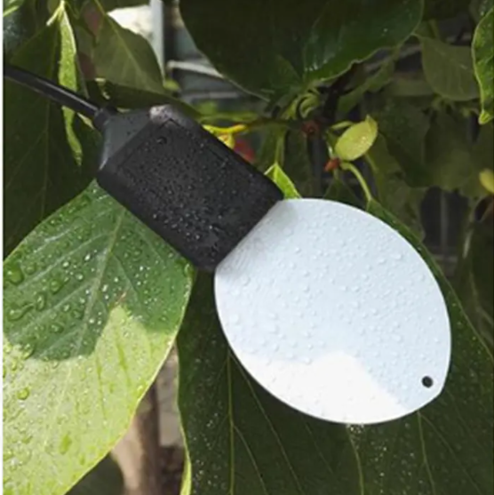 Leaf Wetness Sensor.png