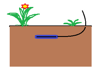 Soil Soil Heat Flux Sensor.png