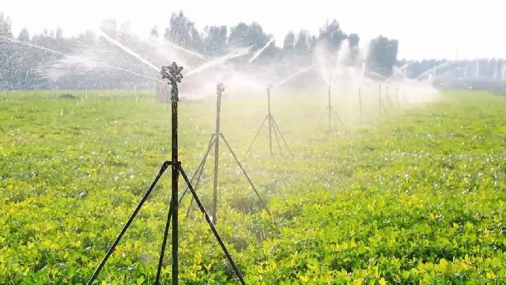 Soil moisture sensors for irrigation.jpg