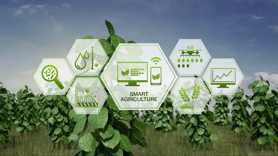 Smart agriculture.jpg