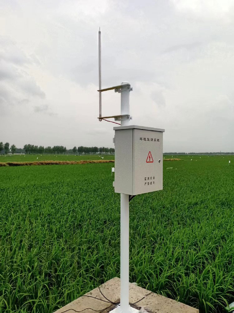 Smart Agriculture: Soil Moisture Monitoring Station Helps Rice Fields Improve Yield and Quality