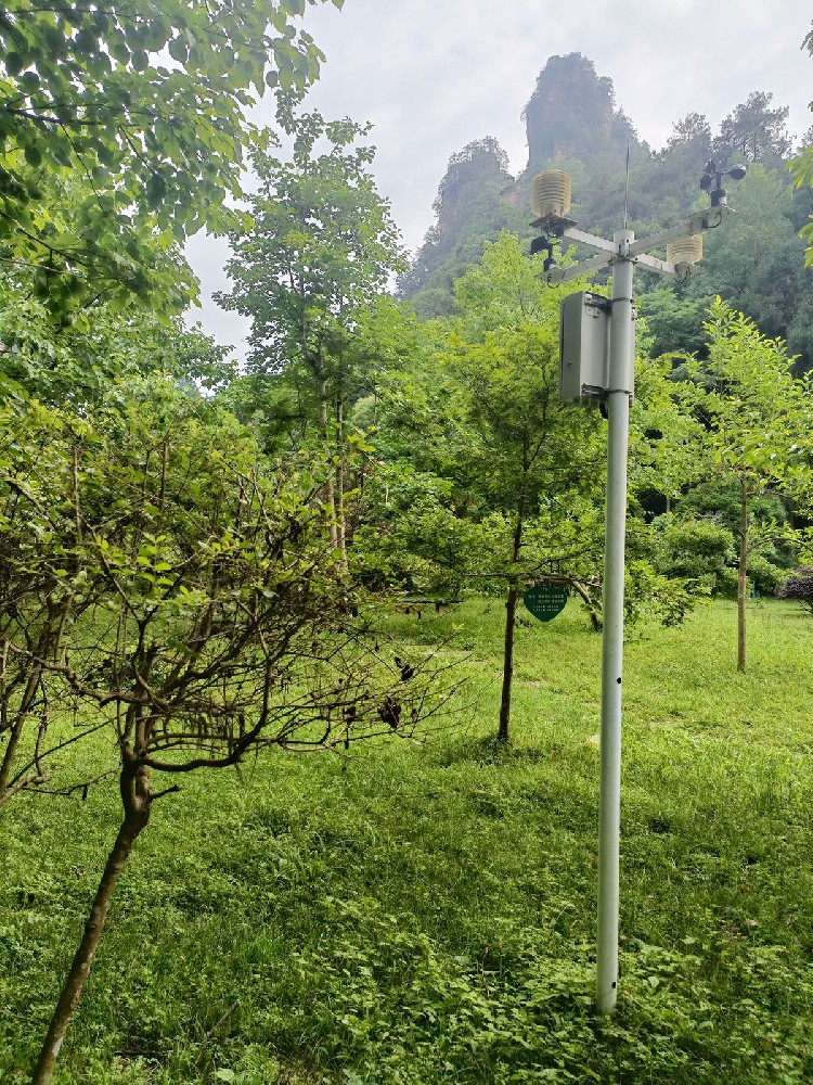 Weather stations for forests