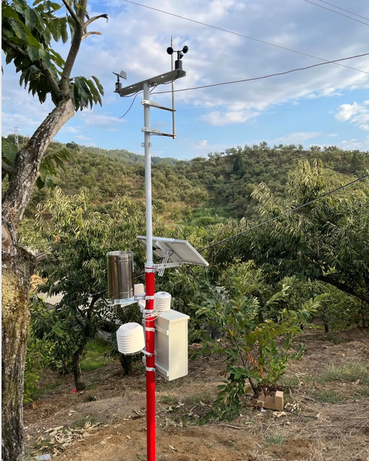 Orchard installation of agrometeorological stations.png