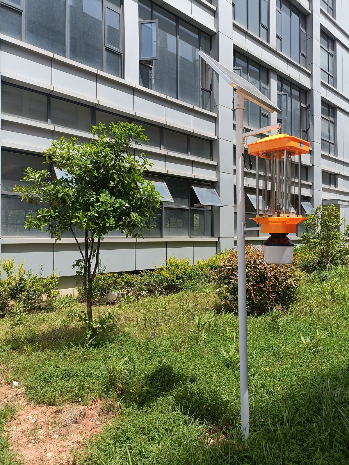 Frequency Vibration Solar Insect Trap.jpg