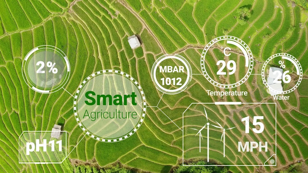 Crop Growth Prediction with Data (3).jpeg