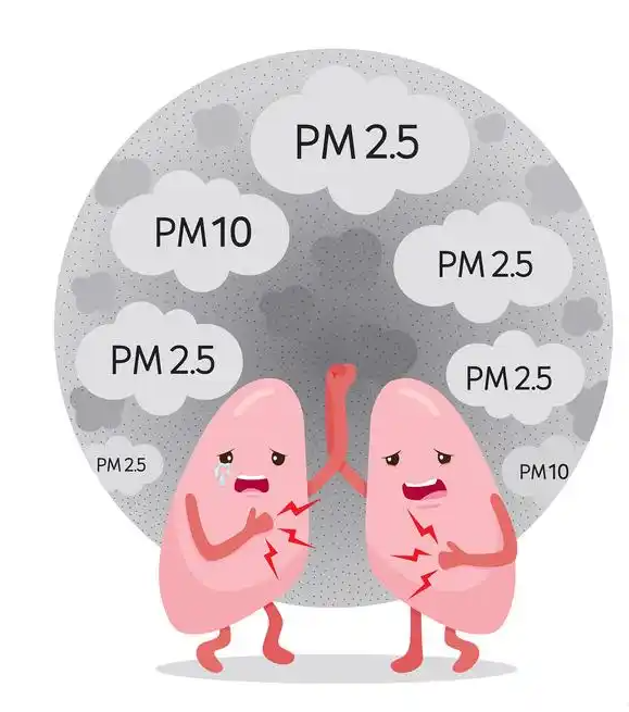 PM.png