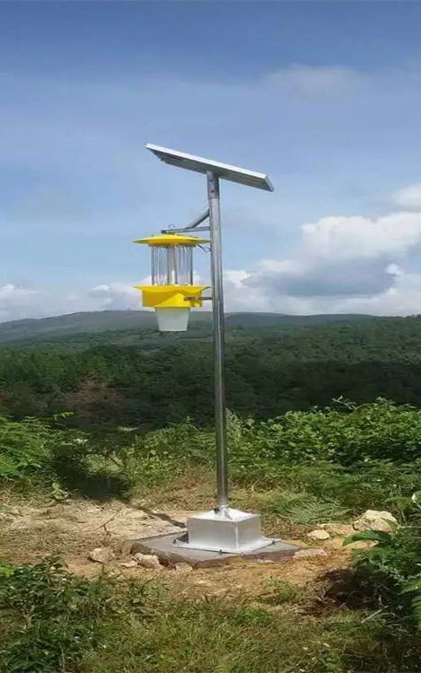 Solar Insect Trap.jpeg