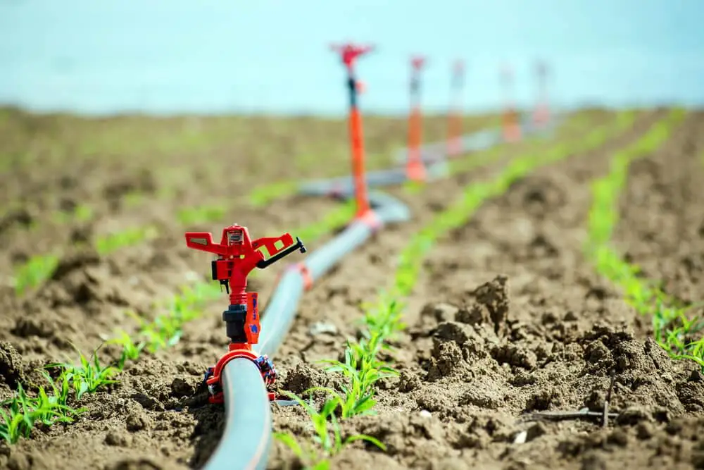 Drip Irrigation Automation.jpeg