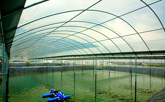 Smart Aquaculture (2).png