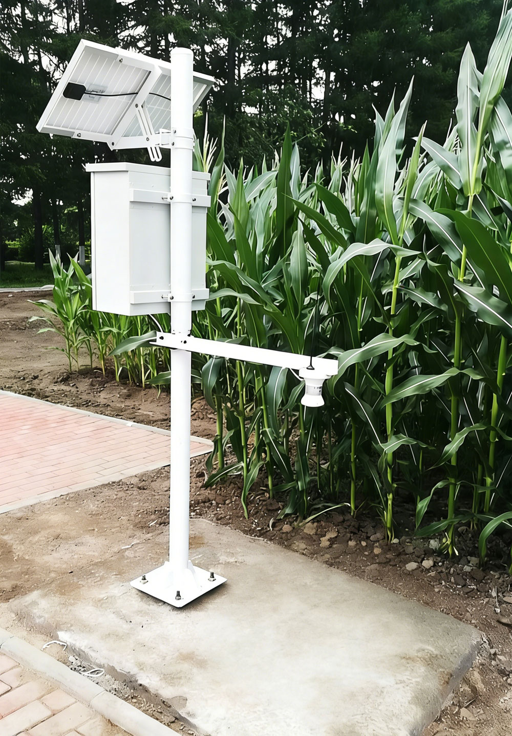 ultrasonic snow depth sensor (2).jpg