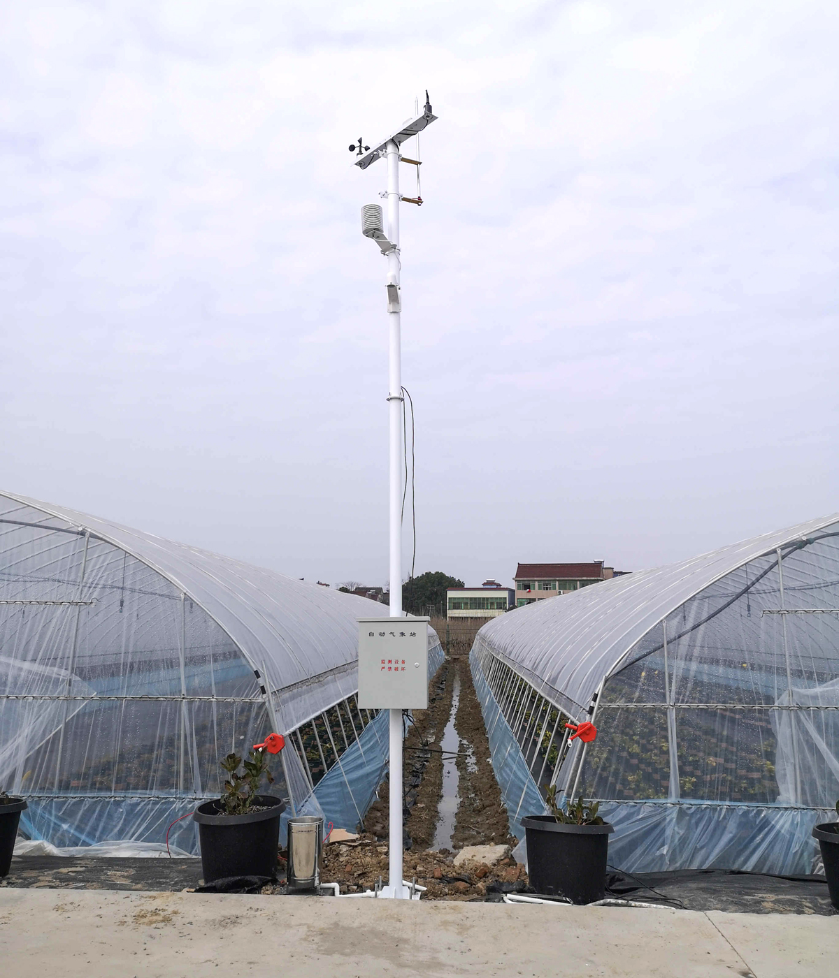 Weather Station for Greenhouse.jpg Weather Station for Greenhouse.jpg