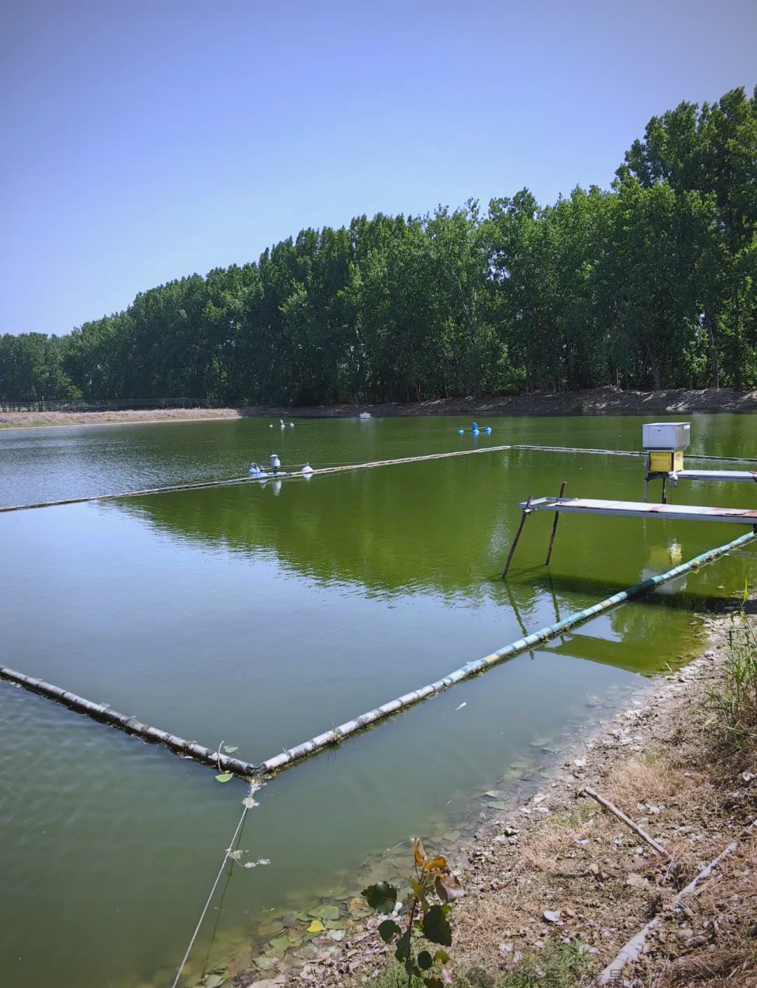 Aquaculture ponds.png Aquaculture ponds.png
