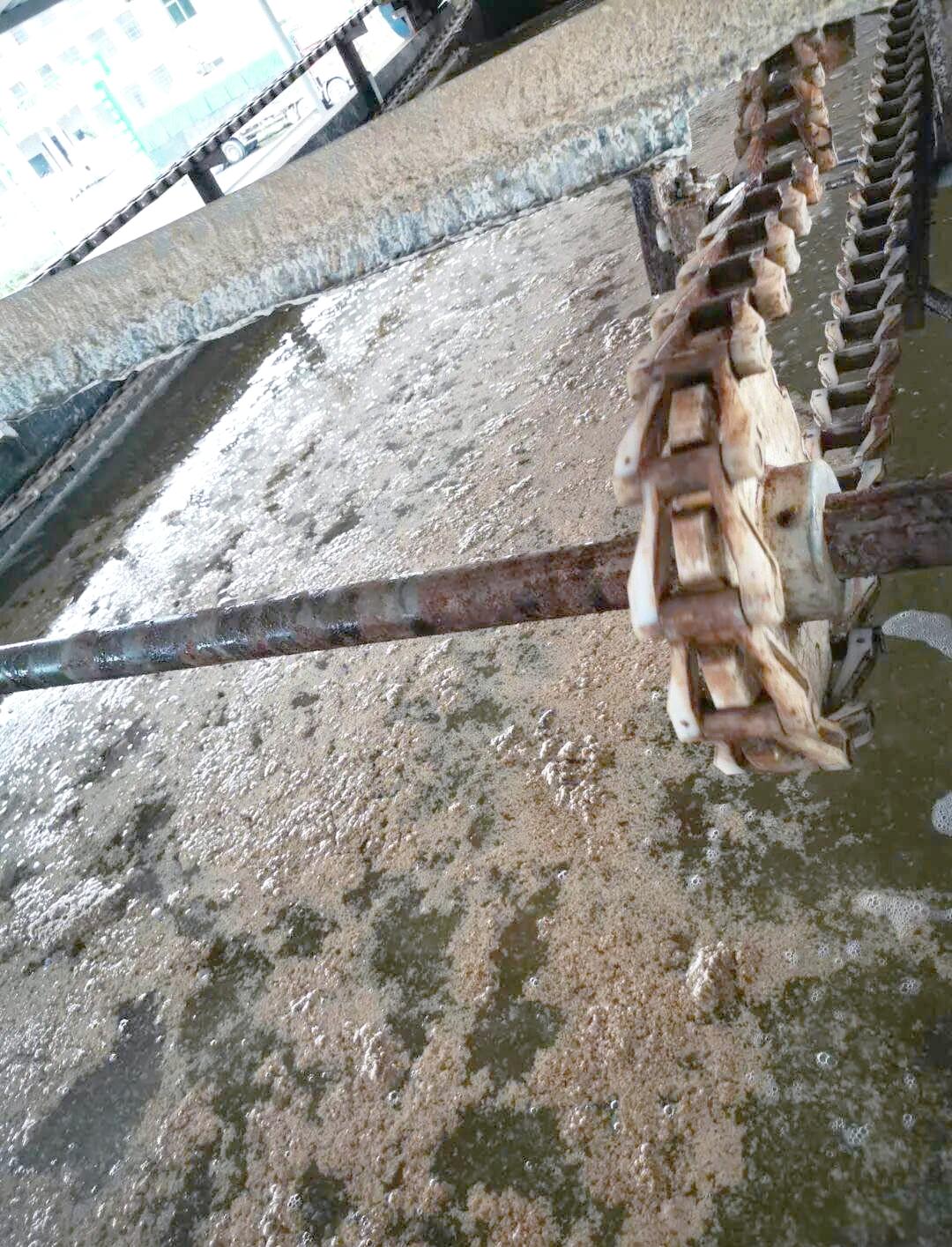 Wastewater Treatment at Soybean Product Factories.jpeg