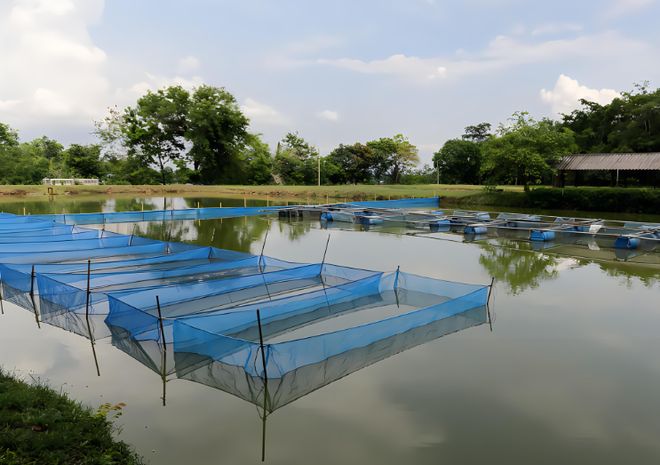 Smart Aquaculture Water Quality Online Monitoring.jpg